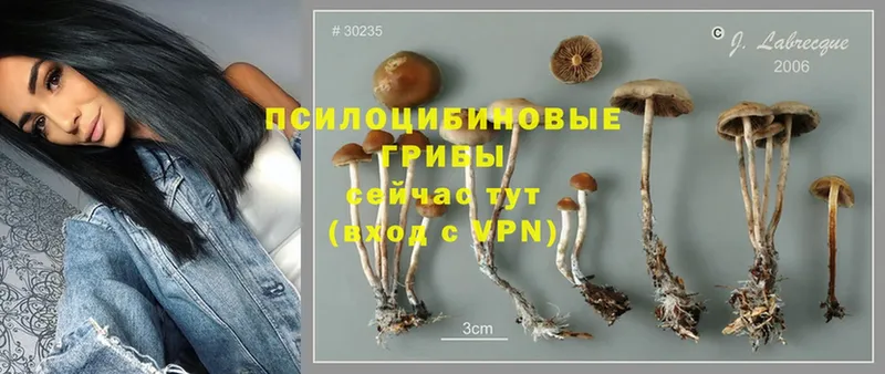 Галлюциногенные грибы MAGIC MUSHROOMS  mega ТОР  это формула  Заринск 